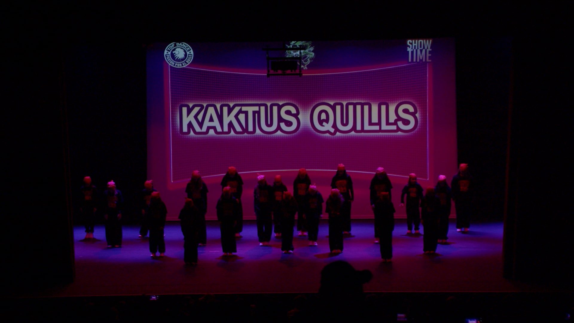 KAKTUS QUILLS